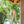 Brass Wind Chime Owara - NOUSAKU-Art & Collectibles-NOUSAKU-SANTOKU NYC