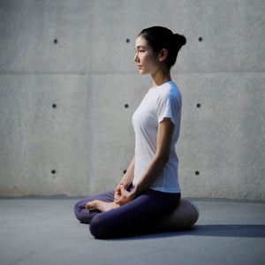Modern Zen Meditation Cushion 'ZAF Master' - ZAF-Cushion-SANTOKU NYC