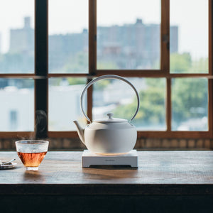 Electric Kettle 'MoonKettle' - BALMUDA-Kettle-BALMUDA-SANTOKU NYC