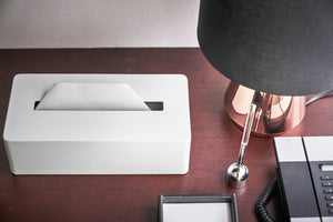 Tissue Case, Steel - Yamazaki Home-Tissue Case-Yamazaki Home-SANTOKU NYC
